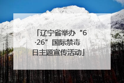 辽宁省举办“6·26”国际禁毒日主题宣传活动
