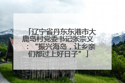 辽宁省丹东东港市大鹿岛村党委书记张宗义：“振兴海岛，让乡亲们都过上好日子”
