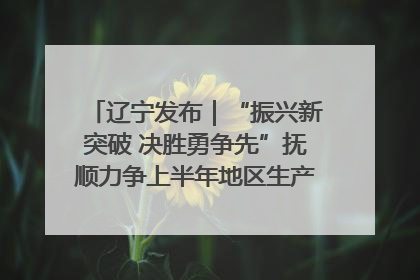 辽宁发布｜“振兴新突破 决胜勇争先”抚顺力争上半年地区生产总值增长7%左右