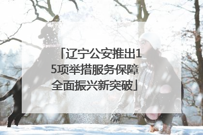 辽宁公安推出15项举措服务保障全面振兴新突破