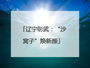 辽宁彰武：“沙窝子”焕新颜