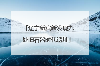 辽宁新宾新发现九处旧石器时代遗址