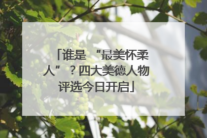 谁是 “最美怀柔人”？四大美德人物评选今日开启