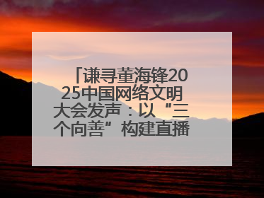 谦寻董海锋2025中国网络文明大会发声：以“三个向善”构建直播电商善意长河