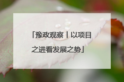 豫政观察丨以项目之进看发展之势