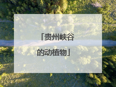 贵州峡谷的动植物