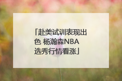 赴美试训表现出色 杨瀚森NBA选秀行情看涨