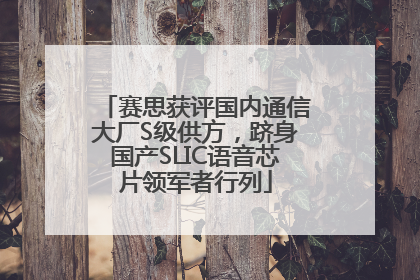 赛思获评国内通信大厂S级供方，跻身国产SLIC语音芯片领军者行列