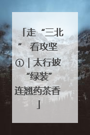 走“三北” 看攻坚①｜太行披“绿装” 连翘药茶香