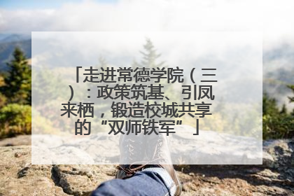 走进常德学院（三）：政策筑基、引凤来栖，锻造校城共享的“双师铁军”
