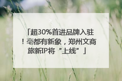 超30%首进品牌入驻！亳都有新象，郑州文商旅新IP将“上线”