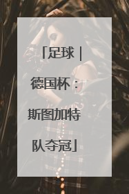 足球｜德国杯：斯图加特队夺冠
