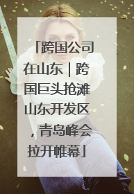 跨国公司在山东｜跨国巨头抢滩山东开发区，青岛峰会拉开帷幕