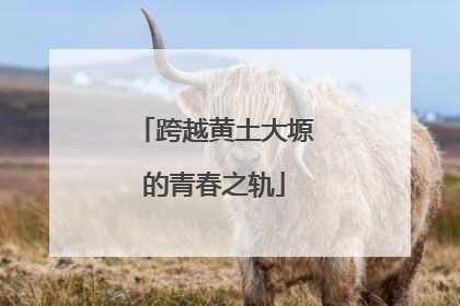 跨越黄土大塬的青春之轨