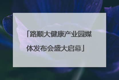 路顺大健康产业园媒体发布会盛大启幕