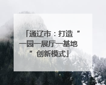 通辽市：打造“一园一展厅一基地”创新模式