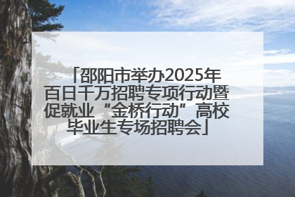 邵阳市举办2025年百日千万招聘专项行动暨促就业“金桥行动”高校毕业生专场招聘会