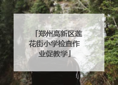 郑州高新区莲花街小学检查作业促教学