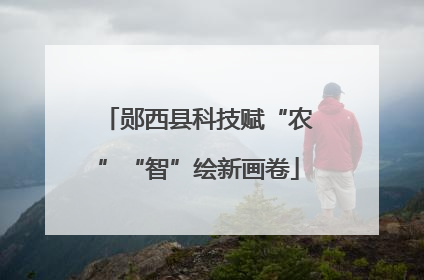 郧西县科技赋“农”“智”绘新画卷