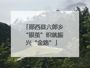 郧西县六郎乡“银茧”织就振兴“金路”