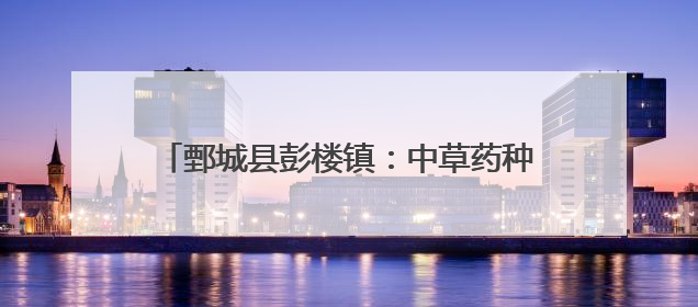 鄄城县彭楼镇：中草药种植打造致富“金钥匙”