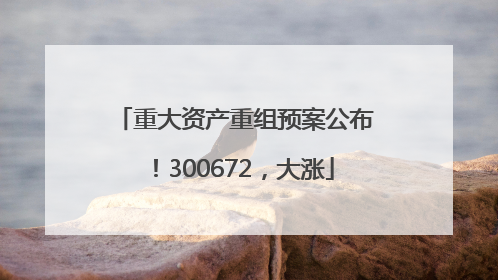 重大资产重组预案公布！300672，大涨
