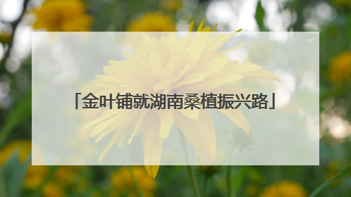 金叶铺就湖南桑植振兴路