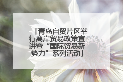 青岛自贸片区举行离岸贸易政策宣讲暨“国际贸易新势力”系列活动