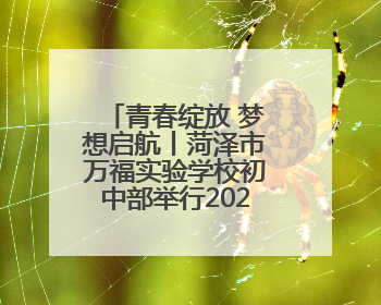 青春绽放 梦想启航丨菏泽市万福实验学校初中部举行2025年毕业典礼暨成长礼赞活动