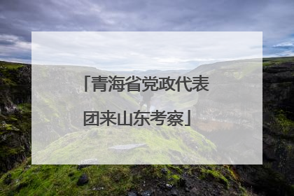 青海省党政代表团来山东考察