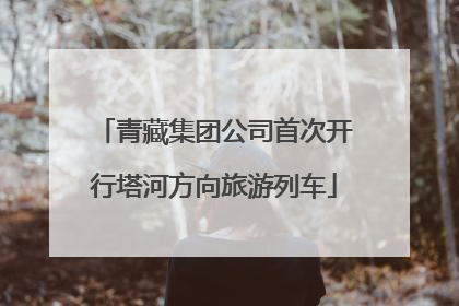 青藏集团公司首次开行塔河方向旅游列车