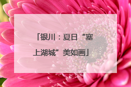 银川：夏日“塞上湖城”美如画