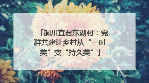 铜川宜君东湖村：党群共建让乡村从“一时美”变“持久美”