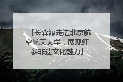 长森源走进北京航空航天大学，展现红参非遗文化魅力