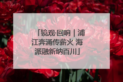 镜观·回响｜浦江奔涌传薪火 海派融新纳百川