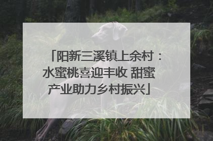 阳新三溪镇上余村：水蜜桃喜迎丰收 甜蜜产业助力乡村振兴