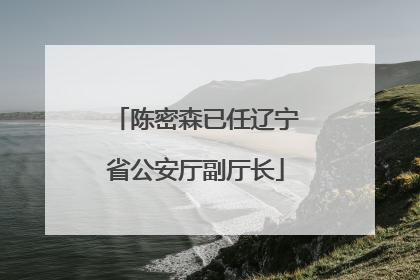 陈密森已任辽宁省公安厅副厅长