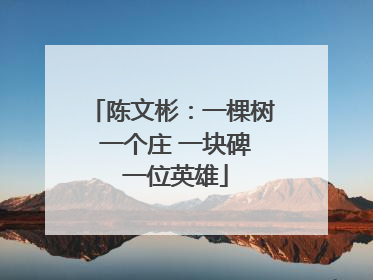 陈文彬：一棵树 一个庄 一块碑 一位英雄