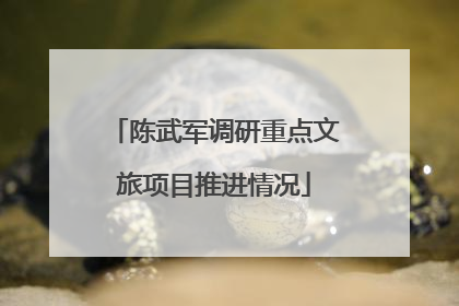 陈武军调研重点文旅项目推进情况