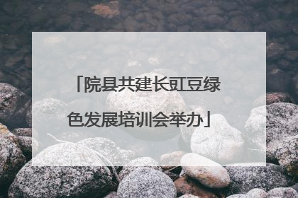 院县共建长豇豆绿色发展培训会举办