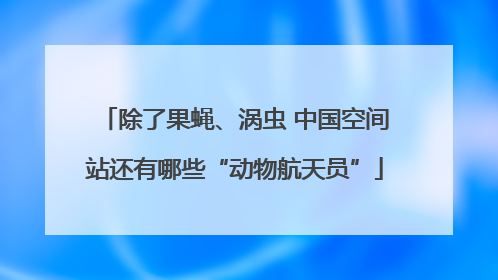 除了果蝇、涡虫 中国空间站还有哪些“动物航天员”