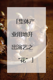 集体产业用地开出演艺之“花”