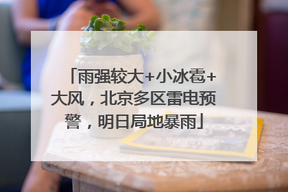 雨强较大+小冰雹+大风，北京多区雷电预警，明日局地暴雨