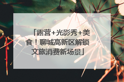 露营+光影秀+美食！聊城高新区解锁文旅消费新场景