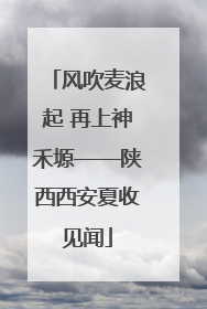 风吹麦浪起 再上神禾塬——陕西西安夏收见闻