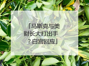 马斯克与美财长大打出手？白宫回应