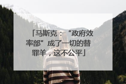 马斯克：“政府效率部”成了一切的替罪羊，这不公平