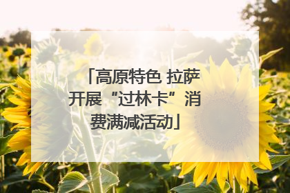 高原特色 拉萨开展“过林卡”消费满减活动