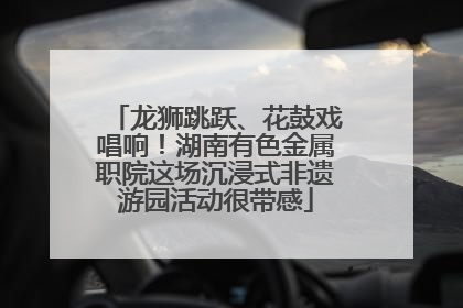 龙狮跳跃、花鼓戏唱响！湖南有色金属职院这场沉浸式非遗游园活动很带感