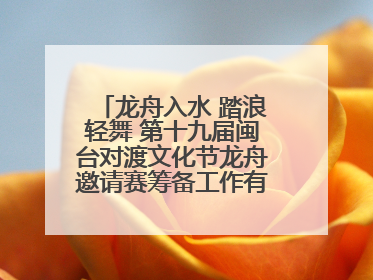 龙舟入水 踏浪轻舞 第十九届闽台对渡文化节龙舟邀请赛筹备工作有序推进